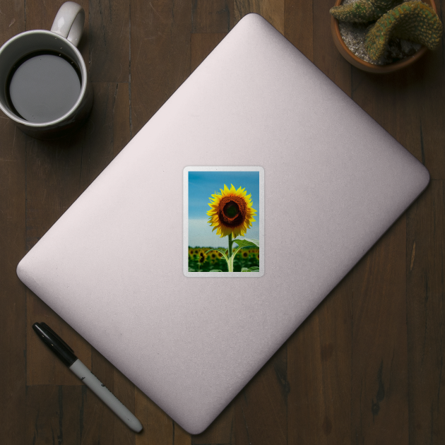 STYLISH SIMPLE SUNFLOWER WITH PALE BLUE SKY by sailorsam1805